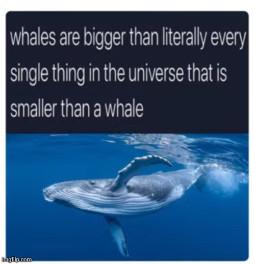 image tagged in funny memes | made w/ Imgflip meme maker