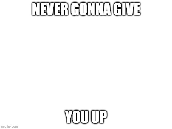 Blank White Template | NEVER GONNA GIVE YOU UP | image tagged in blank white template | made w/ Imgflip meme maker