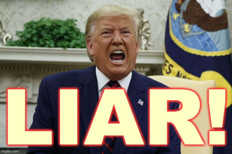 He lost. | LIAR! | image tagged in trump,lying,liar,lies | made w/ Imgflip meme maker