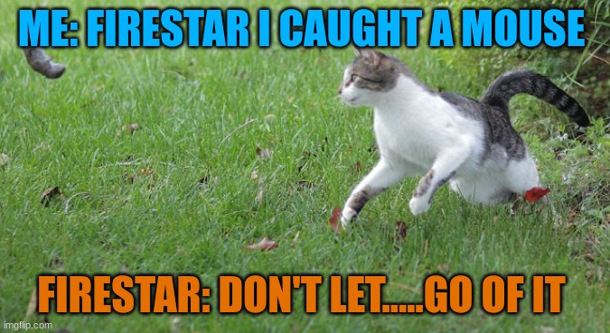 Warrior cat meme | ME: FIRESTAR I CAUGHT A MOUSE; FIRESTAR: DON'T LET.....GO OF IT | image tagged in warrior cat meme,warrior cats | made w/ Imgflip meme maker