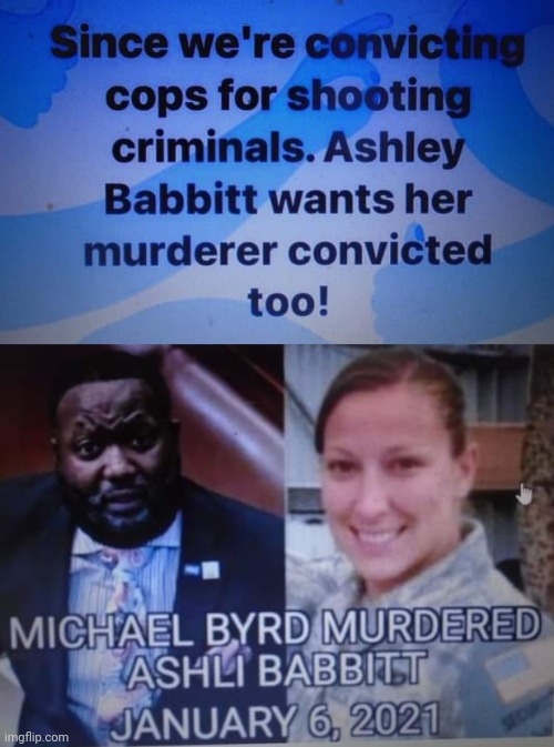 Ashli Babbitt was shot too | image tagged in police brutality | made w/ Imgflip meme maker
