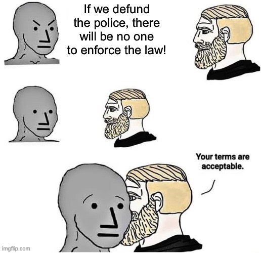 Your Terms Are Acceptable | If we defund the police, there will be no one to enforce the law! | image tagged in your terms are acceptable | made w/ Imgflip meme maker