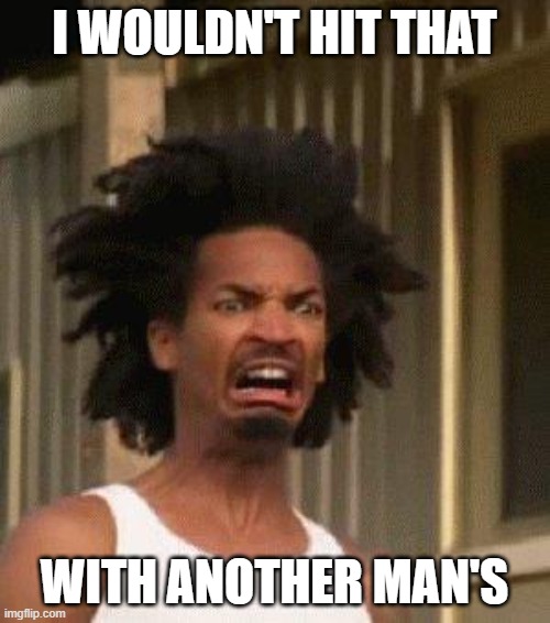 Disgusted Face | I WOULDN'T HIT THAT WITH ANOTHER MAN'S | image tagged in disgusted face | made w/ Imgflip meme maker