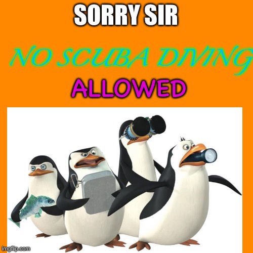 Sorry sir no Scuba diving allowed | image tagged in sorry sir no scuba diving allowed | made w/ Imgflip meme maker