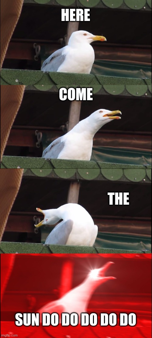 HERE COME THE SUN DO DO DO DO DO | image tagged in memes,inhaling seagull | made w/ Imgflip meme maker