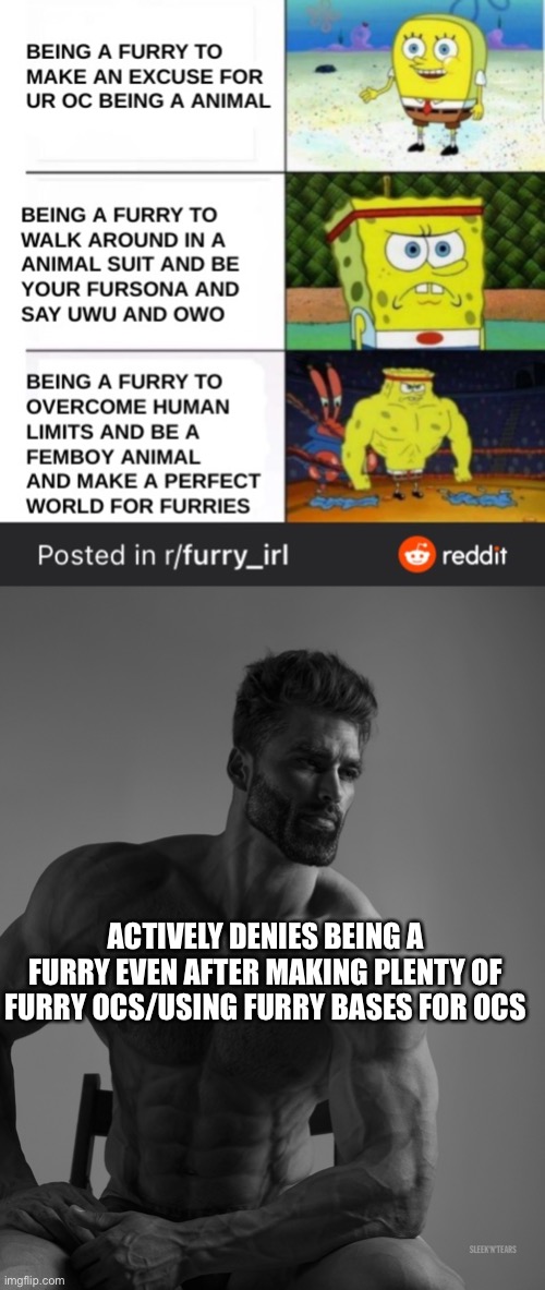 You can have furry OCs while not being a furry by the way | ACTIVELY DENIES BEING A FURRY EVEN AFTER MAKING PLENTY OF FURRY OCS/USING FURRY BASES FOR OCS | image tagged in giga chad | made w/ Imgflip meme maker
