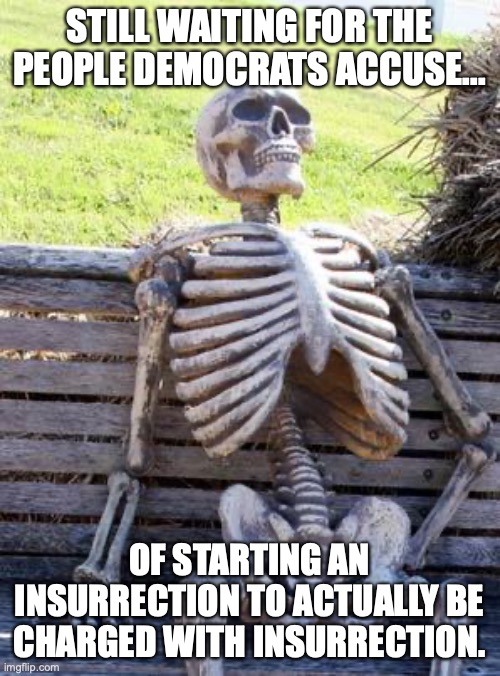 Waiting Skeleton Meme | STILL WAITING FOR THE PEOPLE DEMOCRATS ACCUSE... OF STARTING AN INSURRECTION TO ACTUALLY BE CHARGED WITH INSURRECTION. | image tagged in memes,waiting skeleton | made w/ Imgflip meme maker