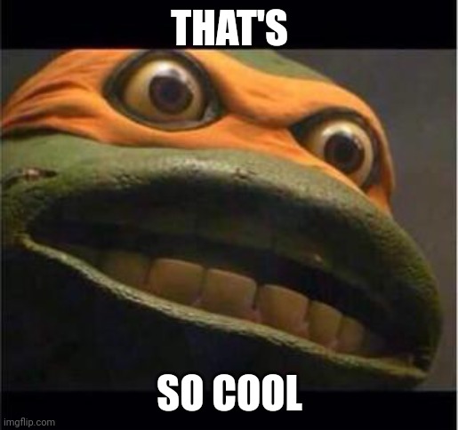 teen age mutant ninja turtle | THAT'S SO COOL | image tagged in teen age mutant ninja turtle | made w/ Imgflip meme maker