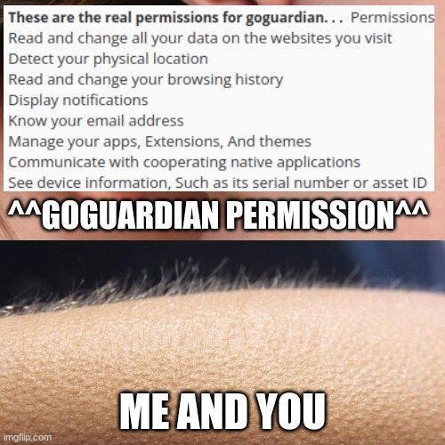 oh no | ^^GOGUARDIAN PERMISSION^^; ME AND YOU | image tagged in whisper and goosebumps | made w/ Imgflip meme maker