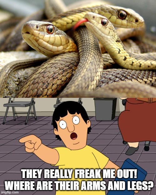THEY REALLY FREAK ME OUT! WHERE ARE THEIR ARMS AND LEGS? | image tagged in snakes,gene bobs burgers | made w/ Imgflip meme maker