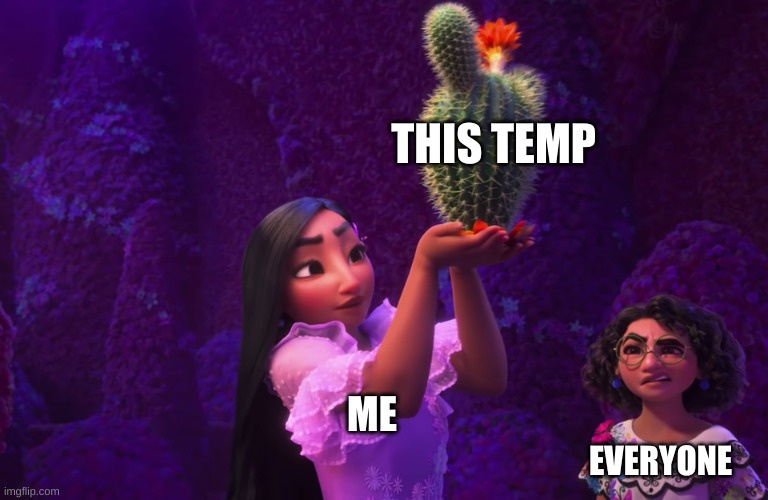 screeeeeeeeeeeeeee | THIS TEMP; ME; EVERYONE | image tagged in mirabel and isabella | made w/ Imgflip meme maker