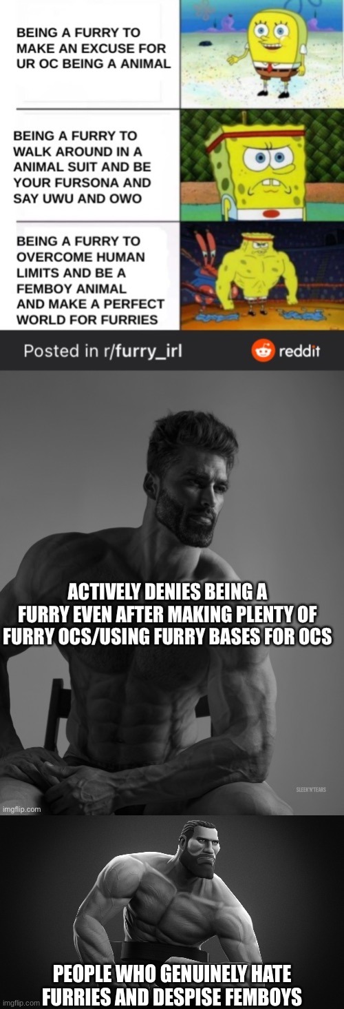 pic goes hard, feel free to screenshot | PEOPLE WHO GENUINELY HATE FURRIES AND DESPISE FEMBOYS | made w/ Imgflip meme maker