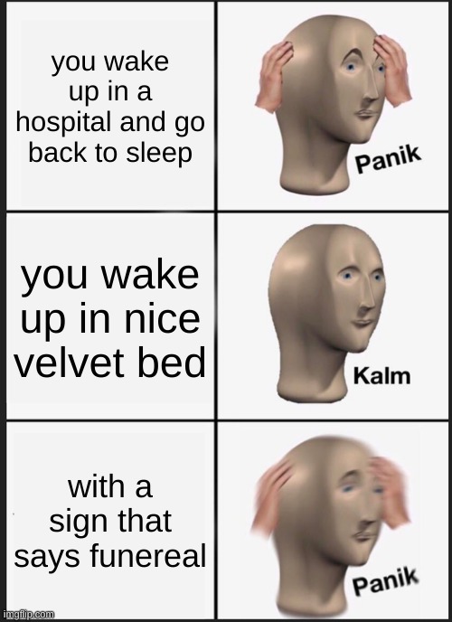 and they never knew | you wake up in a hospital and go back to sleep; you wake up in nice velvet bed; with a sign that says funereal | image tagged in memes,panik kalm panik | made w/ Imgflip meme maker