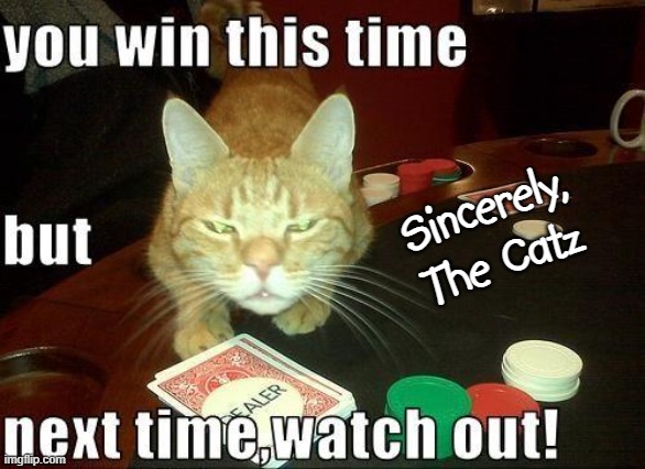 Dear Dogs... | Sincerely,
The Catz | image tagged in vince vance,cats,dogs,playing cards,you win,memes | made w/ Imgflip meme maker