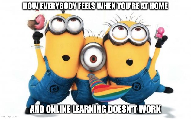 This is what we are wishing for if we go back to virtual learning | HOW EVERYBODY FEELS WHEN YOU'RE AT HOME; AND ONLINE LEARNING DOESN'T WORK | image tagged in minion party despicable me,memes,so true,lol,i wish | made w/ Imgflip meme maker