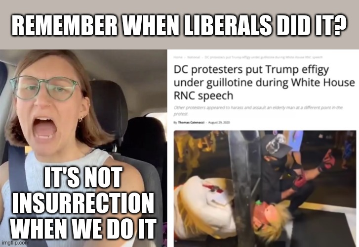 Selective Memory | REMEMBER WHEN LIBERALS DID IT? IT'S NOT INSURRECTION WHEN WE DO IT | image tagged in unhinged liberal lunatic idiot woman meltdown screaming in car | made w/ Imgflip meme maker