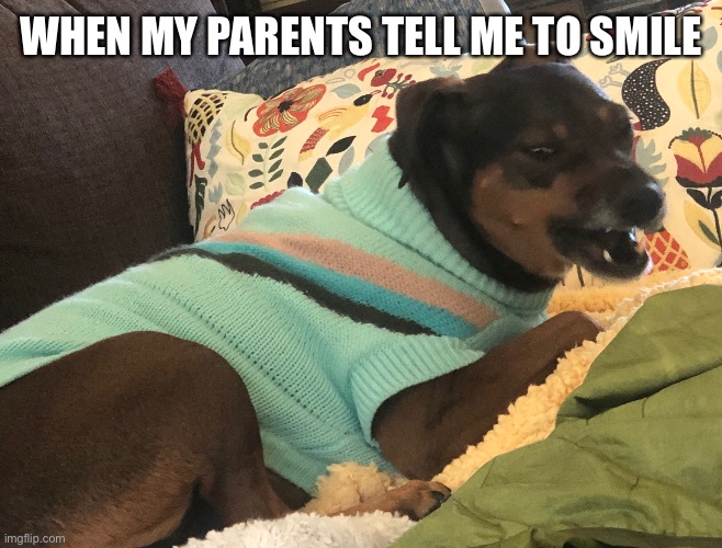 Why is this so true | WHEN MY PARENTS TELL ME TO SMILE | image tagged in memes,doge | made w/ Imgflip meme maker