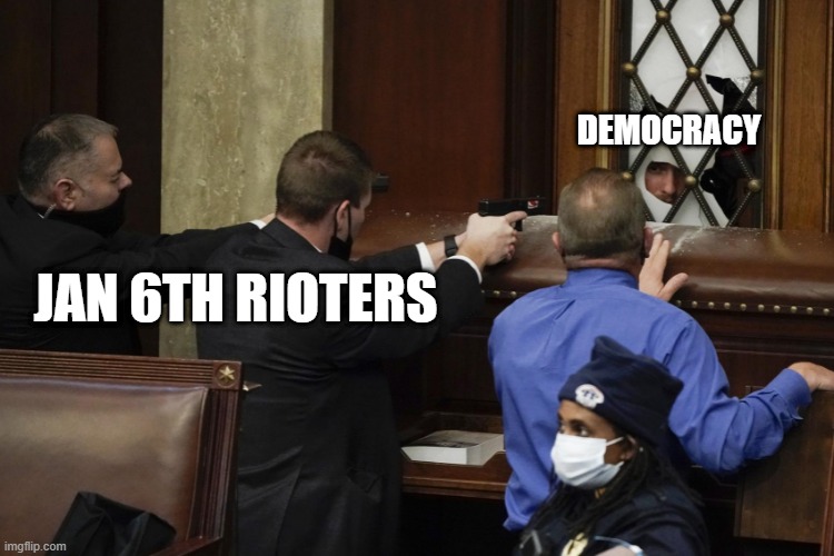 January 6th rioters almost killed democracy | DEMOCRACY; JAN 6TH RIOTERS | image tagged in january 6th rioter | made w/ Imgflip meme maker