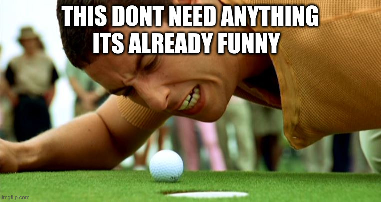 this is already funny | THIS DONT NEED ANYTHING; ITS ALREADY FUNNY | image tagged in happy gilmore - go home | made w/ Imgflip meme maker