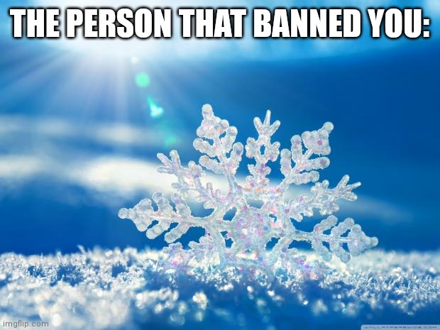 snowflake | THE PERSON THAT BANNED YOU: | image tagged in snowflake | made w/ Imgflip meme maker