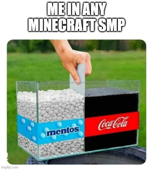 somehow i get banned from every smp i join | ME IN ANY MINECRAFT SMP | image tagged in mentos and coke | made w/ Imgflip meme maker