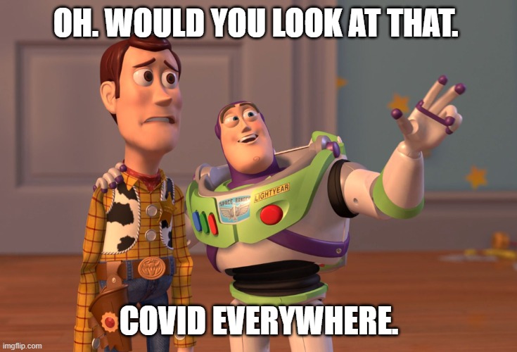 X, X Everywhere | OH. WOULD YOU LOOK AT THAT. COVID EVERYWHERE. | image tagged in memes,x x everywhere | made w/ Imgflip meme maker