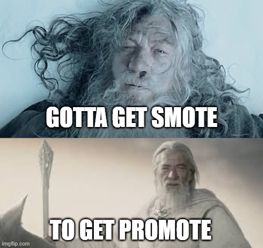 gotta get smote | GOTTA GET SMOTE; TO GET PROMOTE | image tagged in funny | made w/ Imgflip meme maker