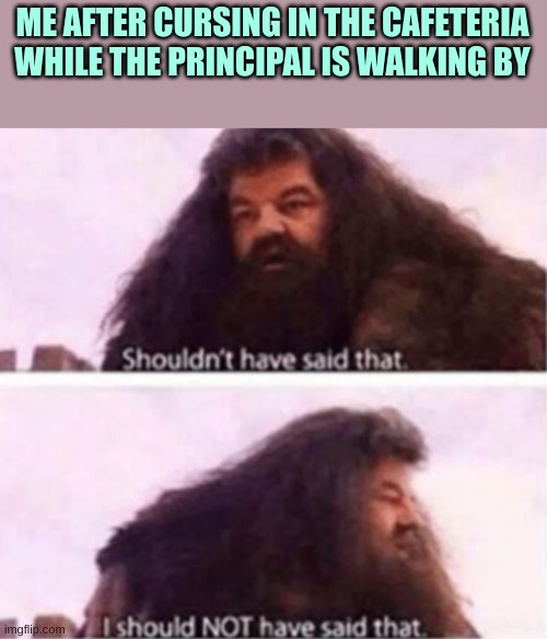 True story, we covered it up real quick after "Bethany" noticed she was there. | ME AFTER CURSING IN THE CAFETERIA WHILE THE PRINCIPAL IS WALKING BY | image tagged in shouldn't have said that | made w/ Imgflip meme maker