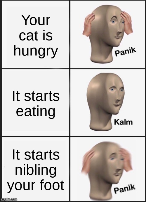 Panik Kalm Panik | Your cat is hungry; It starts eating; It starts nibling your foot | image tagged in memes,panik kalm panik | made w/ Imgflip meme maker