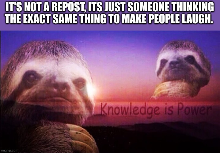 Sloth Knowledge is power | IT'S NOT A REPOST, ITS JUST SOMEONE THINKING THE EXACT SAME THING TO MAKE PEOPLE LAUGH. | image tagged in sloth knowledge is power | made w/ Imgflip meme maker