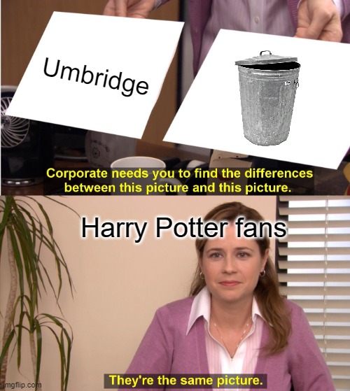 They're The Same Picture Meme | Umbridge; Harry Potter fans | image tagged in memes,they're the same picture,harry potter | made w/ Imgflip meme maker