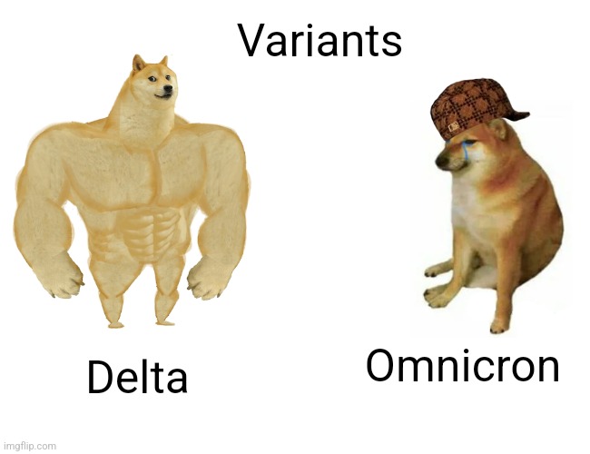 Buff Doge vs. Cheems | Variants; Omnicron; Delta | image tagged in memes,buff doge vs cheems | made w/ Imgflip meme maker