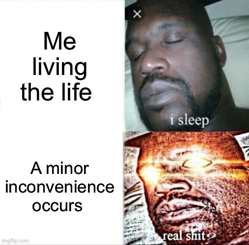 Bruh | Me living the life; A minor inconvenience occurs | image tagged in memes,sleeping shaq | made w/ Imgflip meme maker