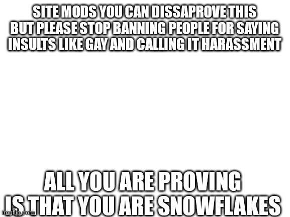 If the owner of imgflip sees this this is happening a lot in the fun stream | SITE MODS YOU CAN DISSAPROVE THIS BUT PLEASE STOP BANNING PEOPLE FOR SAYING INSULTS LIKE GAY AND CALLING IT HARASSMENT; ALL YOU ARE PROVING IS THAT YOU ARE SNOWFLAKES | image tagged in blank white template | made w/ Imgflip meme maker