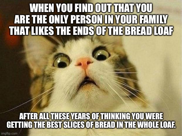 Bread | WHEN YOU FIND OUT THAT YOU ARE THE ONLY PERSON IN YOUR FAMILY THAT LIKES THE ENDS OF THE BREAD LOAF; AFTER ALL THESE YEARS OF THINKING YOU WERE GETTING THE BEST SLICES OF BREAD IN THE WHOLE LOAF. | image tagged in memes,scared cat,bread | made w/ Imgflip meme maker