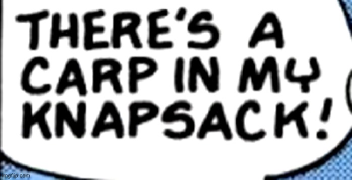 Carp in knapsack | image tagged in carp in knapsack | made w/ Imgflip meme maker
