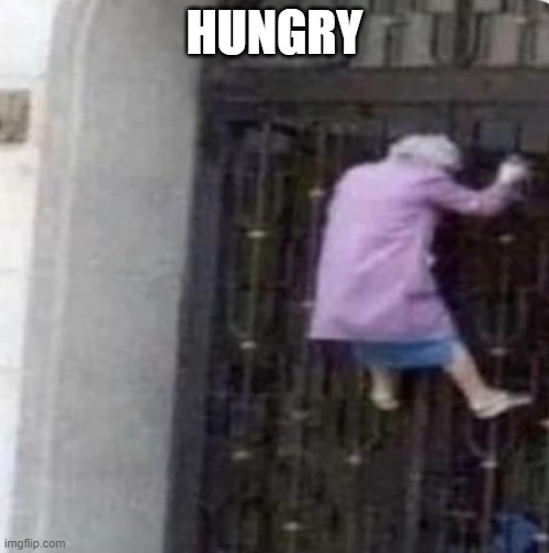 Grandma on a fence |  HUNGRY | image tagged in grandma on a fence,lgbtq,lgbt,politics,obama,blm | made w/ Imgflip meme maker