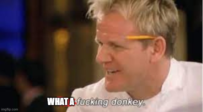 you f****** donkey - gordon ramsay | WHAT A | image tagged in you f donkey - gordon ramsay | made w/ Imgflip meme maker