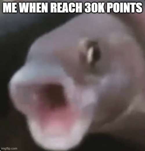 And it only took 3 months | ME WHEN REACH 30K POINTS | image tagged in poggers fish,30000 points | made w/ Imgflip meme maker