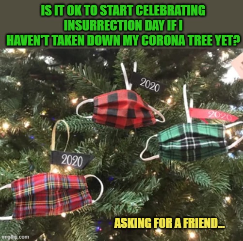 IS IT OK TO START CELEBRATING INSURRECTION DAY IF I HAVEN'T TAKEN DOWN MY CORONA TREE YET? ASKING FOR A FRIEND... | image tagged in insurrection day | made w/ Imgflip meme maker