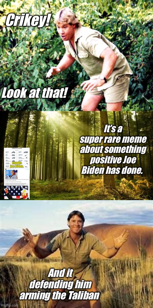 I looked at the other political  stream to learn about all the good Joe has done and this is about it | Crikey! Look at that! It’s a super rare meme about something positive Joe Biden has done. And it defending him arming the Taliban | image tagged in crocodile hunter steve irwin,sunlit forest,steve irwin | made w/ Imgflip meme maker