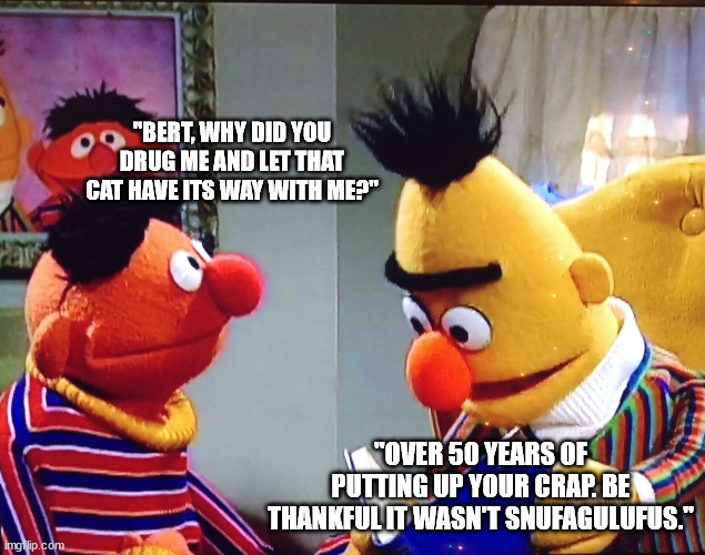 Bert and Ernie | "BERT, WHY DID YOU DRUG ME AND LET THAT CAT HAVE ITS WAY WITH ME?" "OVER 50 YEARS OF PUTTING UP YOUR CRAP. BE THANKFUL IT WASN'T SNUFAGULUFU | image tagged in bert and ernie | made w/ Imgflip meme maker