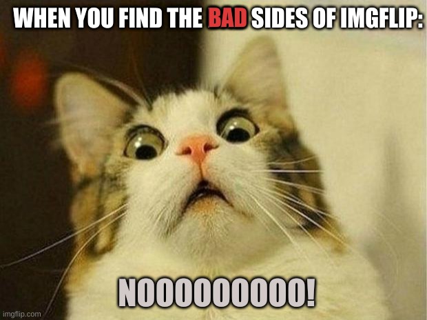 You think imgflip is awesome until you find something messed up. it hits you hard. | BAD; WHEN YOU FIND THE BAD SIDES OF IMGFLIP:; NOOOOOOOOO! | image tagged in memes,scared cat,oh nooooo,not like this | made w/ Imgflip meme maker