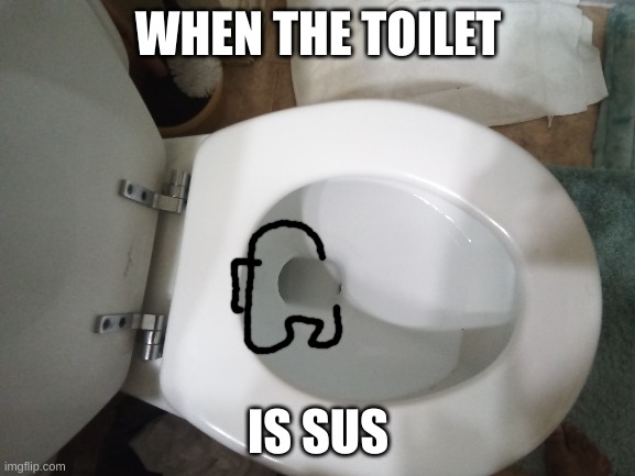 Hide from your toilets | WHEN THE TOILET; IS SUS | image tagged in funny meme | made w/ Imgflip meme maker
