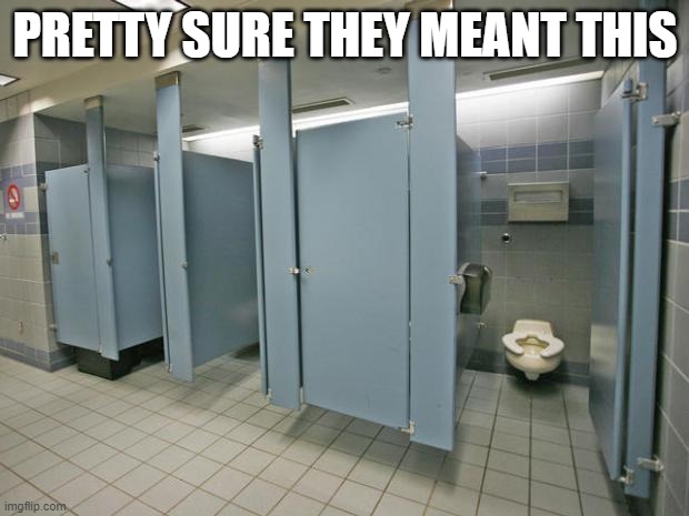 Bathroom stall | PRETTY SURE THEY MEANT THIS | image tagged in bathroom stall | made w/ Imgflip meme maker
