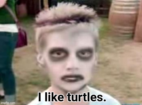 I like turtles | I like turtles. | image tagged in i like turtles | made w/ Imgflip meme maker