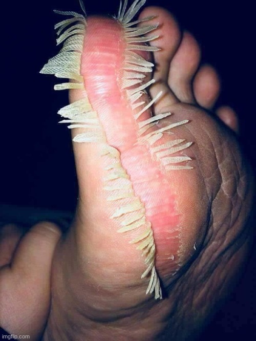 [Kill me ?] | made w/ Imgflip meme maker