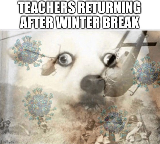 Runny noses and poorly fitting masks | TEACHERS RETURNING AFTER WINTER BREAK | image tagged in ptsd dog | made w/ Imgflip meme maker