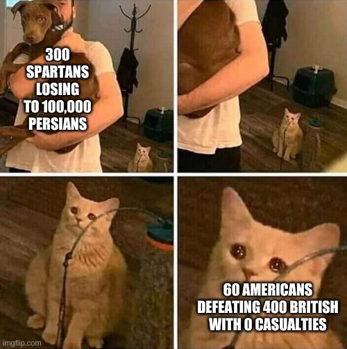 Ignored cat | 300 SPARTANS LOSING TO 100,000 PERSIANS; 60 AMERICANS DEFEATING 400 BRITISH WITH 0 CASUALTIES | image tagged in ignored cat | made w/ Imgflip meme maker