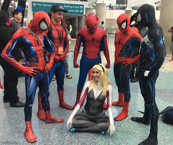 5 Spider-Man (Spider-Men?) and 1 Spider-Woman | image tagged in 5 spider-man spider-men and 1 spider-woman | made w/ Imgflip meme maker